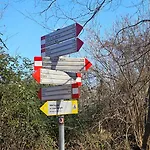 Foresta Menaggio